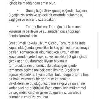 Yanlış Çiçek Teslimatı Ve Yetersiz Müşteri Hizmeti