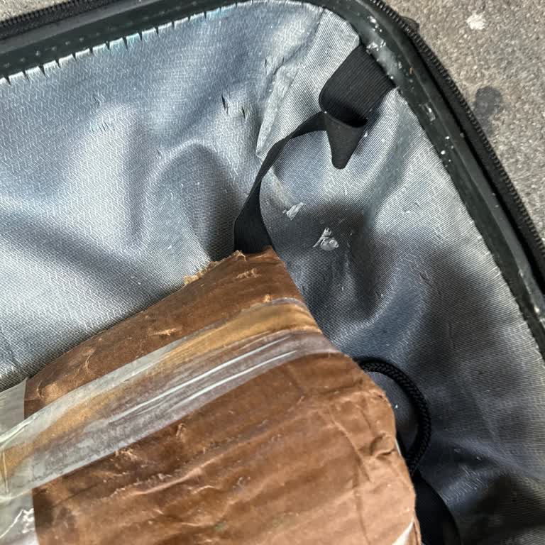 Pegasus Bagaj Hasarı Ve İletişim Eksikliği