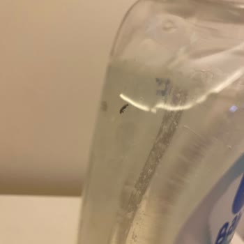 Bebek Ürününde Böcek Şoku