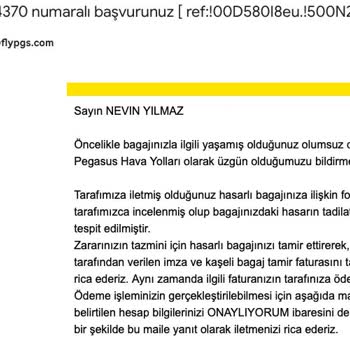 Pegasus'un Bagaj Hasarı Ve Çözümdeki Yetersizlik