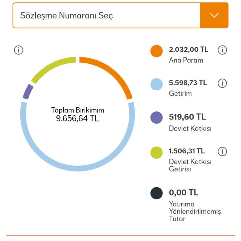 ING Ve NN Hayat Emeklilik'te Kayıp Şoku