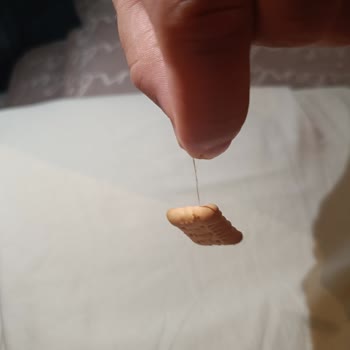 Bisküviden Çıkan İple Tehlike!