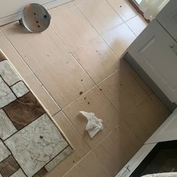 Tehlikeli Patlama: Korkmaz A155 Düdüklü Tencere Sorunu