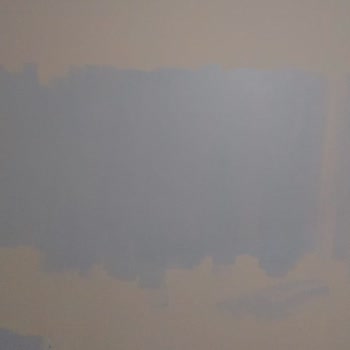 Polisan Elegans Renk Uyumsuzluğu Sorunu