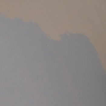 Polisan Elegans Renk Uyumsuzluğu Sorunu