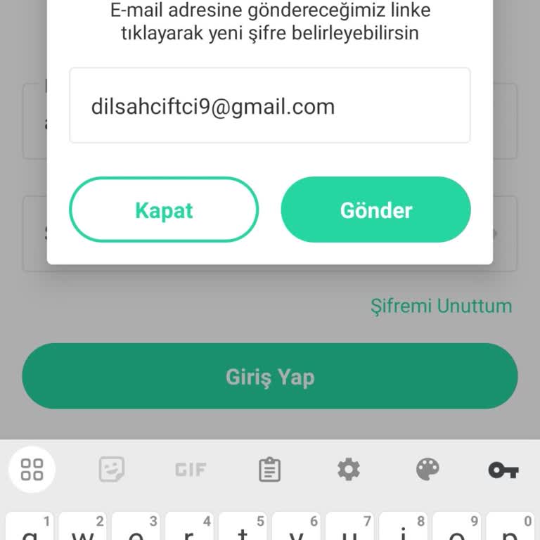 Giriş Sorunu Ve Şifre Sıfırlama Problemi
