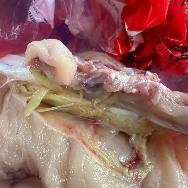 BİM'den Aldığım Tavukta Şoke Eden Sürpriz!