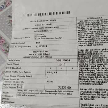 Martı Tag Merkezi'nin Yetersiz Desteği Ve Artan Cezalar