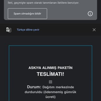 Yanıltıcı E-postalarla Karşı Karşıya: Kişisel Bilgilerim Güvende Mi?