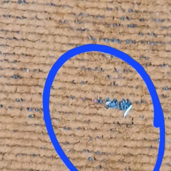 Trendyol Ve Tedarikçi İlgisizliği: Hatalı Ürün Sorunu