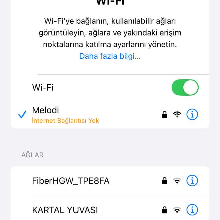 Fiber Geçişinde İnternetimiz Neden Kesildi?
