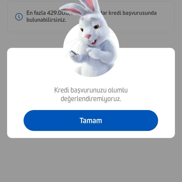 Kredi Başvurusunda Anında Ret Şoku
