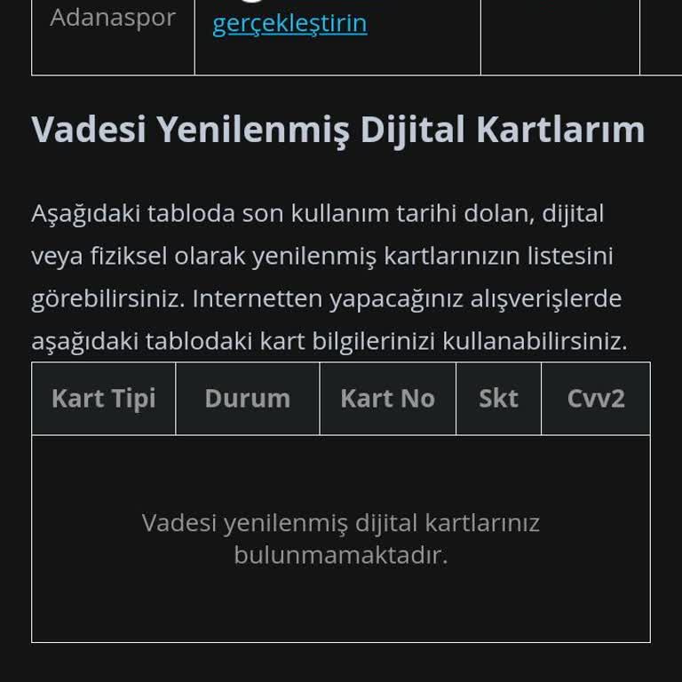 Passolig Ödemesi Yapıldı Ama Sistem Hatası Maç Planlarını Tehdit Ediyor
