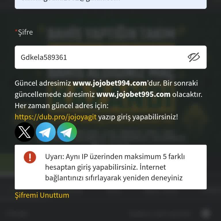 Hesap Güvenliği Ve Erişim Sorunu
