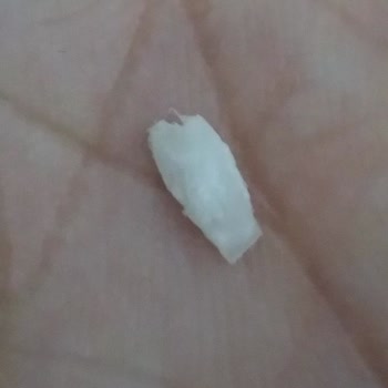 BİM'den Alınan Üründe Şoke Eden Plastik Kalıntı