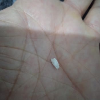 BİM'den Alınan Üründe Şoke Eden Plastik Kalıntı