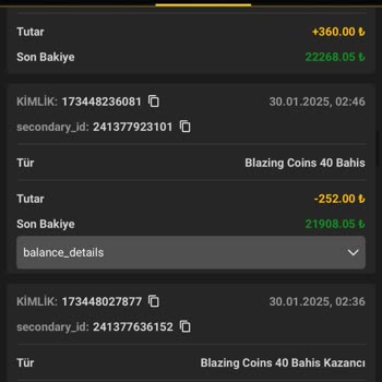 Oyun Sırasında Hesap Bakiyesi Kayboldu