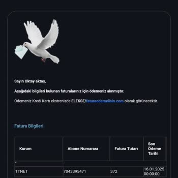 Ödenmiş Fatura Sorunu