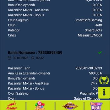 İmajbet'te Slot Oyununda Hesap Sıfırlanması Ve Para Kaybı