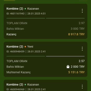 Kazancım Sebepsiz Yere Silindi!