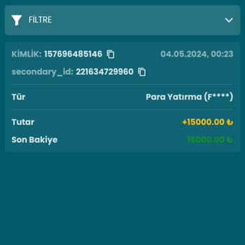 Yatırım Çekiminde Sorun Ve Bakiye Sıfırlama