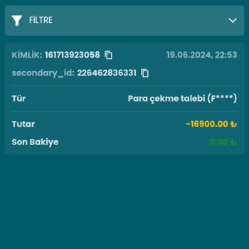 Yatırım Çekiminde Sorun Ve Bakiye Sıfırlama