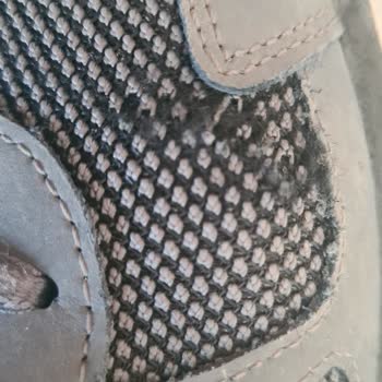 Skechers Ayakkabı Orijinalliği Ve Garanti Sorunu