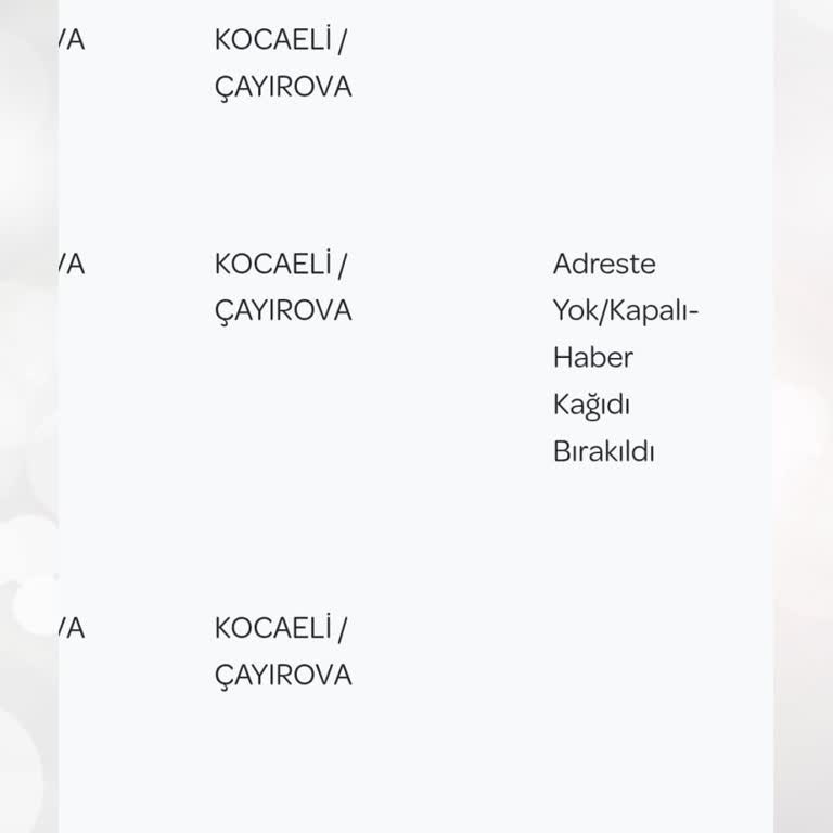 Kargo Teslimatında Yaşanan Sorunlar