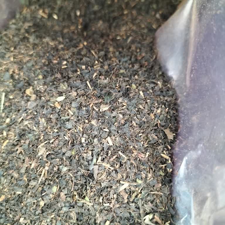 Tirebolu Çayındaki Beklenmedik Koku Ve Aroma Sorunu