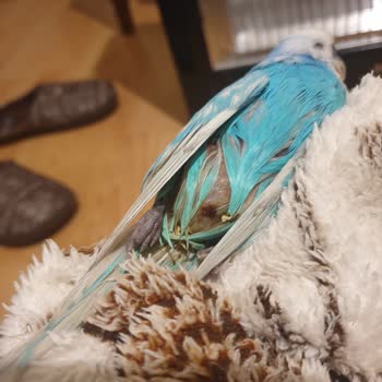 Mario Veteriner Kliniği'nde Yetersiz Hizmet Ve Kaba Davranış!