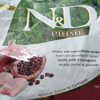 Petfor'dan Tarihi Geçmiş Mama!