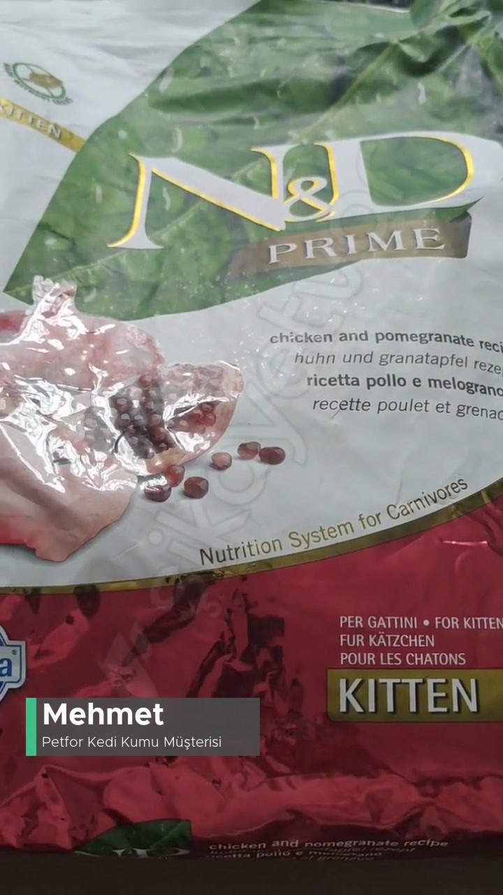 Petfor'dan Tarihi Geçmiş Mama! videonun kapak resmi