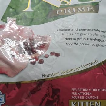 Petfor'dan Tarihi Geçmiş Mama!