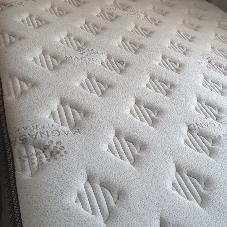 Bambi Yatakta Sırt Ağrısı Ve İlgisizlik