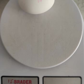 Yanıltıcı Yumurta Gramajı Sorunu