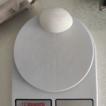 Yanıltıcı Yumurta Gramajı Sorunu