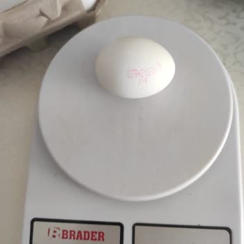 Yanıltıcı Yumurta Gramajı Sorunu