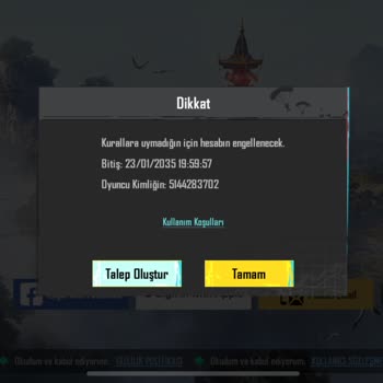 Satın Alınan PUBG Hesaplarında Ban Sorunu