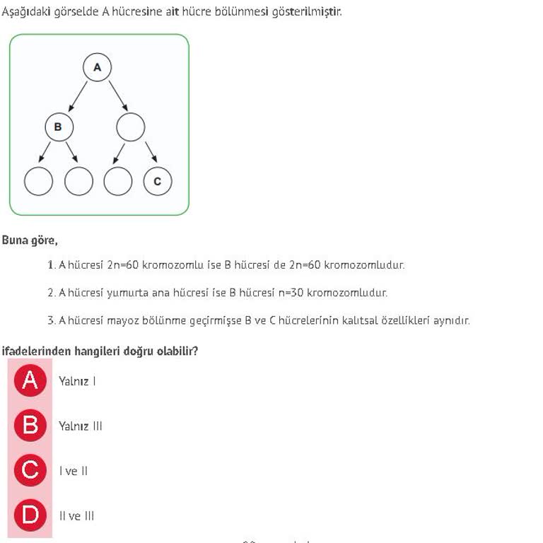 Eksik Ve Hatalı Test Sorunları