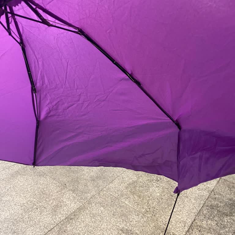 Kırılan Şemsiye Ve Mango'nun İlgisizliği