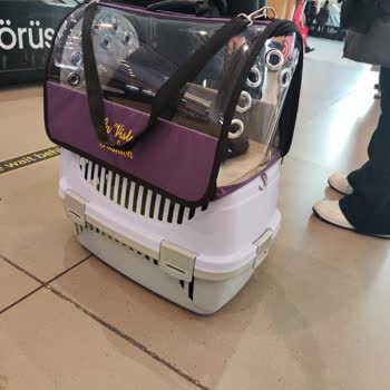 Evcil Hayvan Taşıma Kabusu: THY'nin Yetersizliği