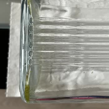 Hayat Su'da Sağlık Tehdidi: Sararma Ve Yeşillenme Sorunu