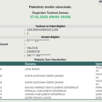 UPS Türkiye Kocaeli: Teslim Edilmeyen Kargo Mağduriyeti
