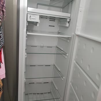 Derin Dondurucu Kabusu: Sesler, Buzlanma Ve İlgisizlik