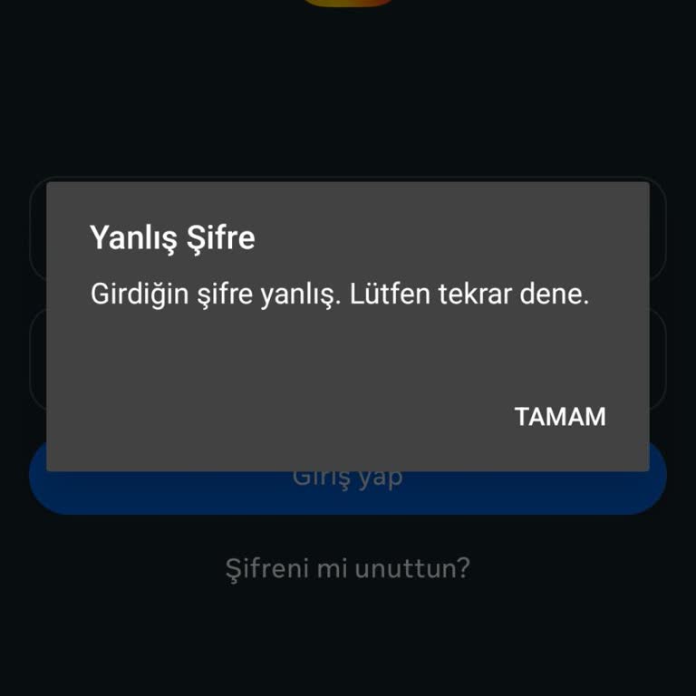 Instagram Uygulamasında Giriş Sorunu: Doğru Şifreyle Hata Alıyorum