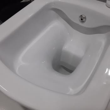 Creavit Nova Klozet: Hijyen Ve Kullanım Sorunları