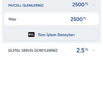 Paycell Hesabımdan İzinsiz Para Transferi