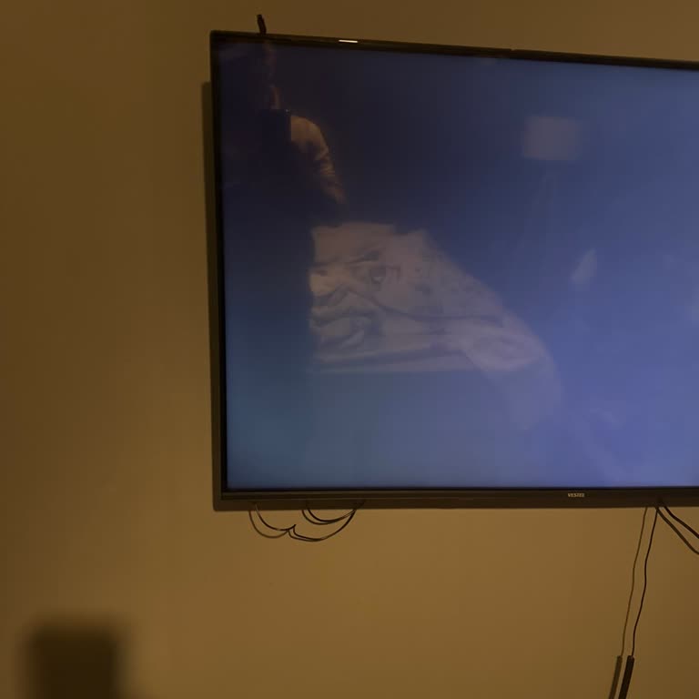 Vestel Renk Skalası Sorunu Ve Hayal Kırıklığı