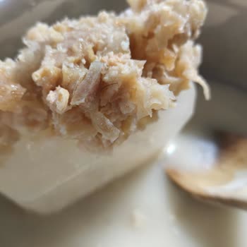 Hijyen Sorunu: İşkembe Çorbasında Kıl