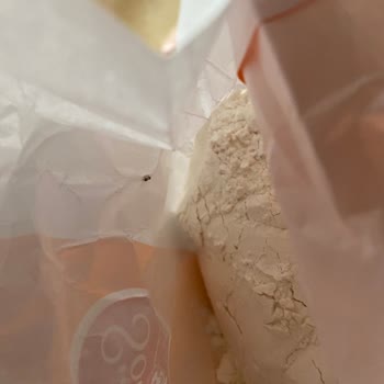 Böcekli Un Skandalı: Sağlığımız Tehlikede!